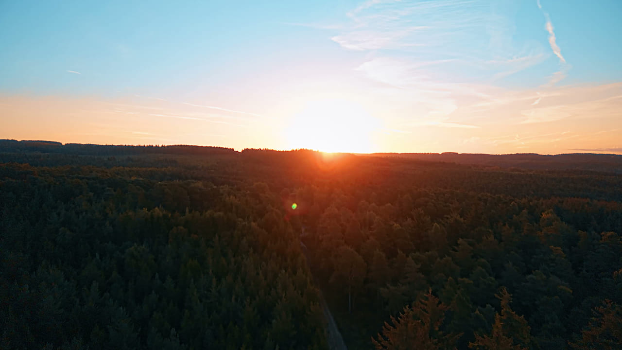 Aerial view over forest in the North York Moors at sunset, with the sun on the horizon